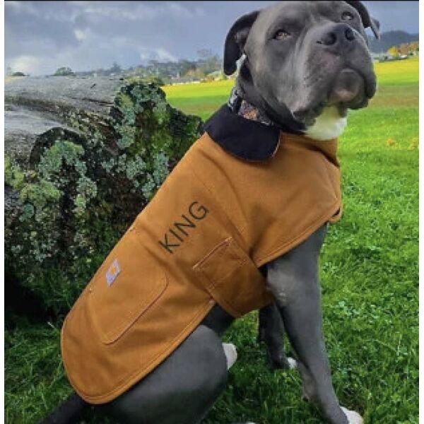 Carhartt Dog Jacket Thumbnail